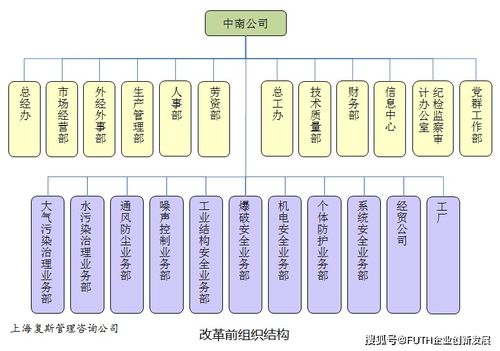 子公司長不大，總部又成了空殼子 某高科技企業技術服務型子公司的管理困境